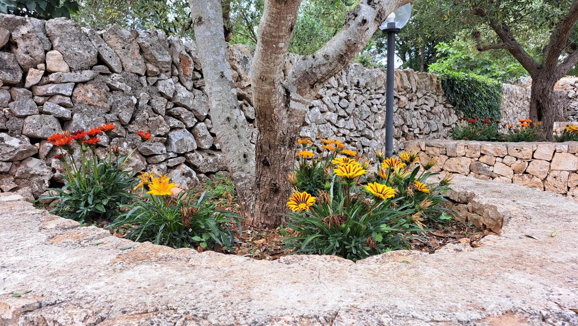 Casolare Di Puglia Villa Ночи Екстериор снимка